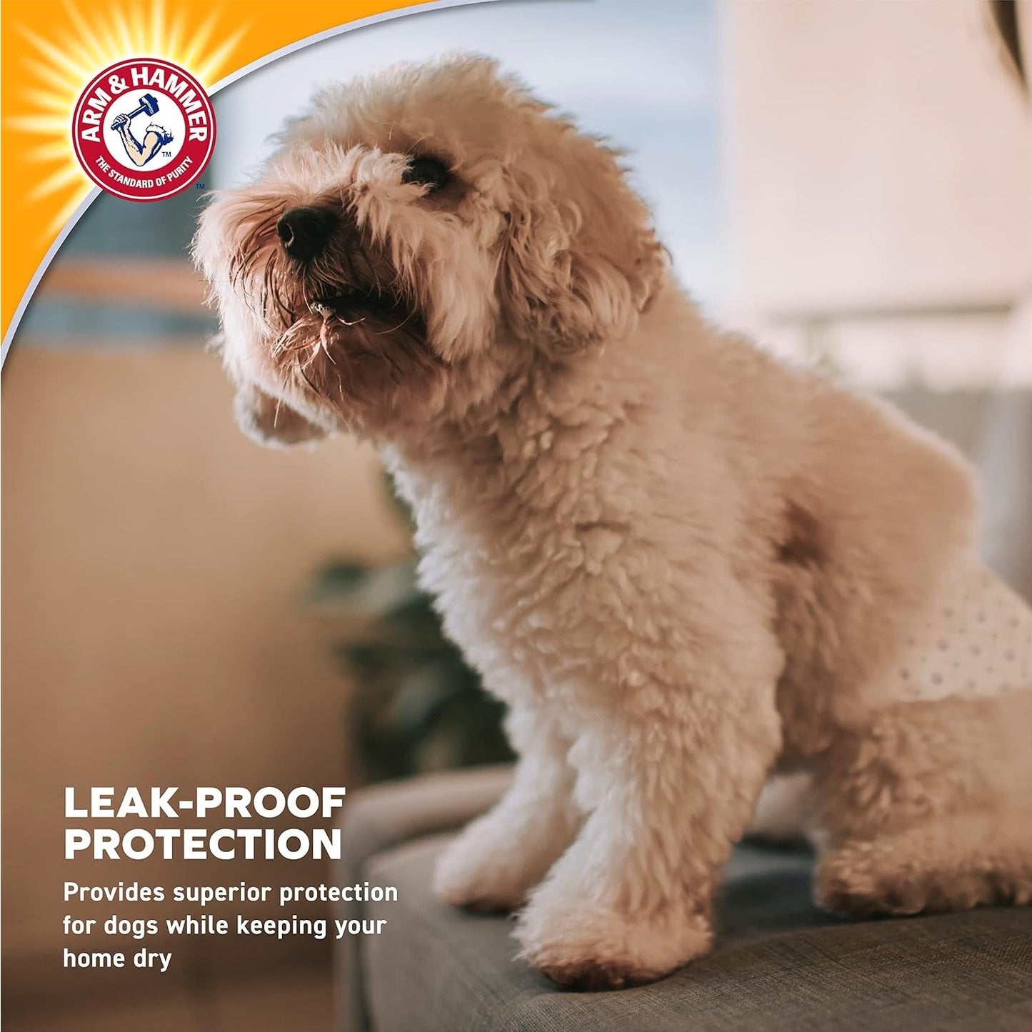 Arm & Hammer Disposable Female Dog Diapers, Medium, 12 Count, 6-Pack
