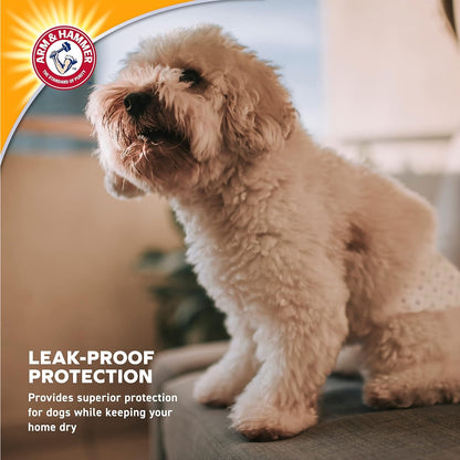 Arm & Hammer Disposable Female Dog Diapers, Medium, 12 Count, 6-Pack