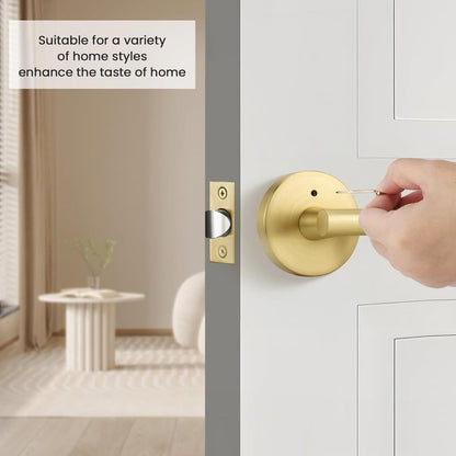 Goldenwarm 1 Pack Gold Door Handles Interior, Brushed Gold Privacy Lever Door