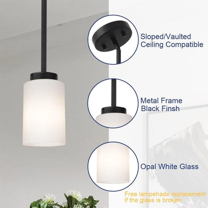 TODOLUZ Black Pendant Light Fixture With Opal White Glass, Farmhouse Mini-BLACK