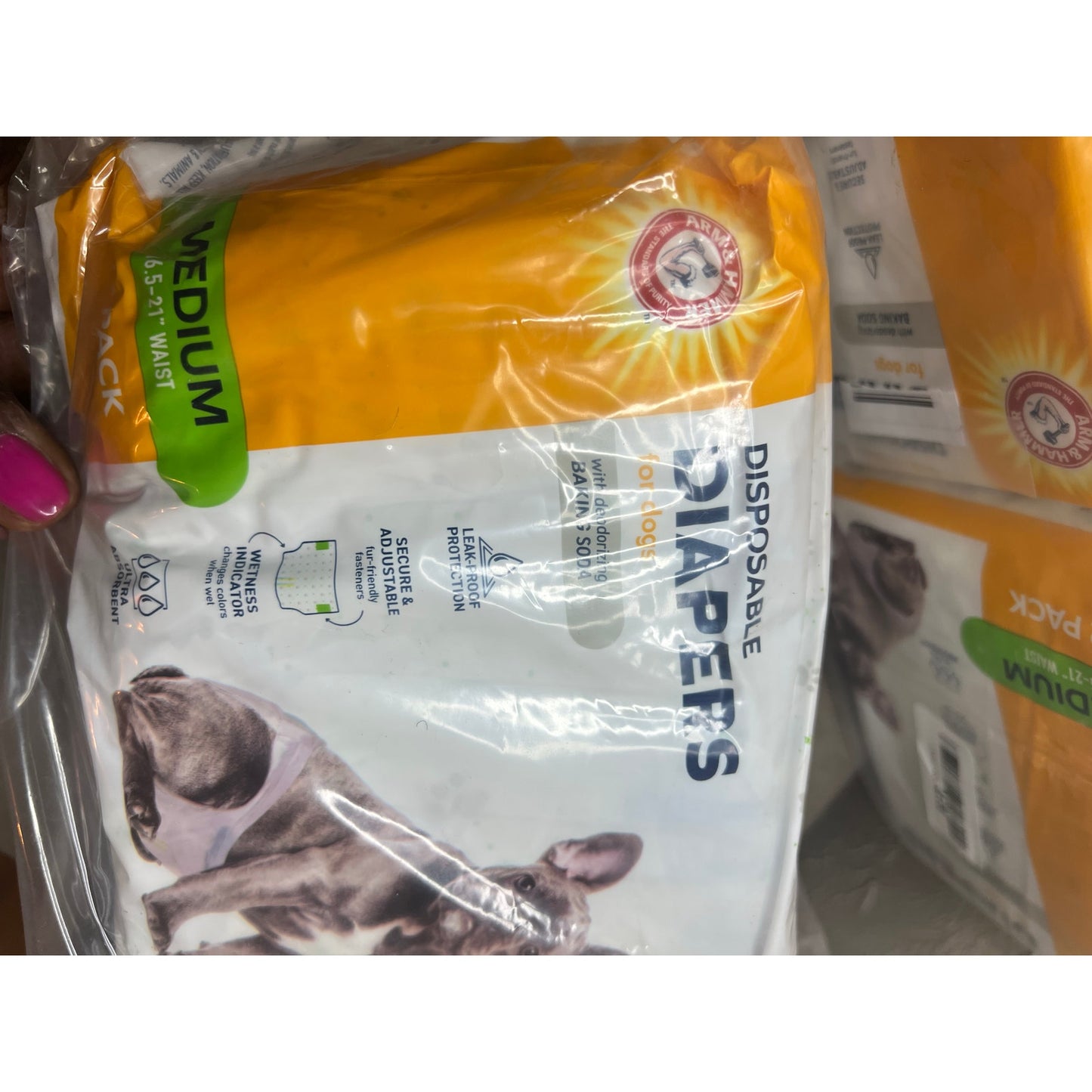 Arm & Hammer Disposable Female Dog Diapers, Medium, 12 Count, 6-Pack